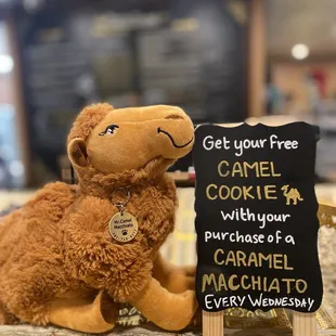 a stuffed camel