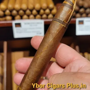 Ybor Cigars Plus  Torpedo Medium 61/8 x 52
