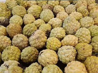 Hillsborough Ave Farmers Market