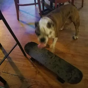 Didnt know dogs were allowed.