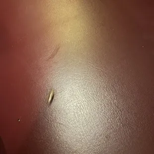 ABSOLUTELY DISGUSTING ROACHES! Never eat here