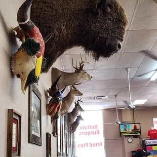 All about the BEEF decor