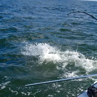 Ye Ole Pirate Fishing Charters