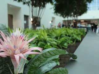 Care Plant Inc.