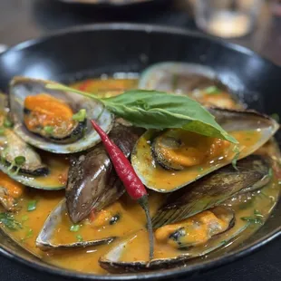 Curry mussels