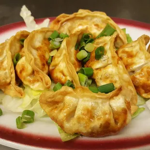Fried Dumpling Appetizer (8 pieces)