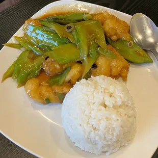 Fish and bittermelon over rice