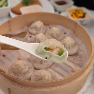 Shrimp and Loofah XLB