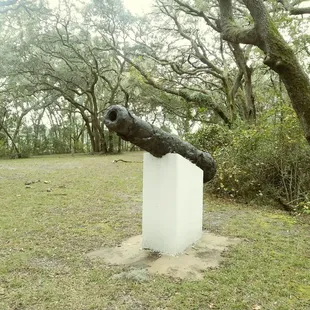 Cannon display