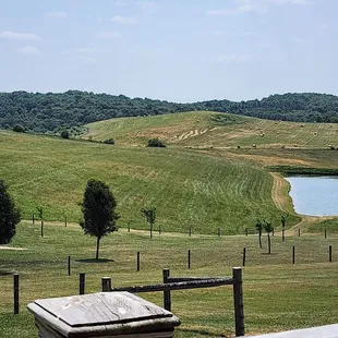 a view of a field with a pond