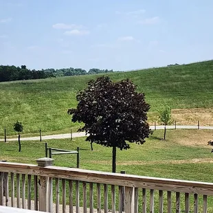 a view of a grassy hill