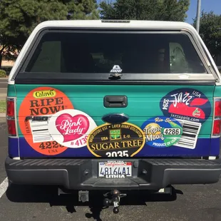 Tailgate Wrap