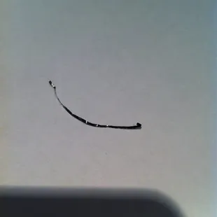 The metal in my dish