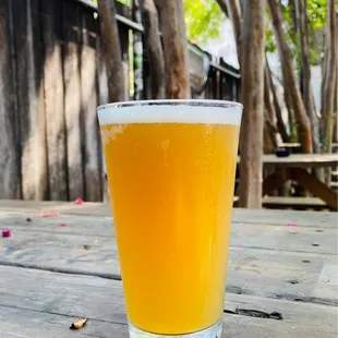 Yellow Jacket Social Club ~ East Austin