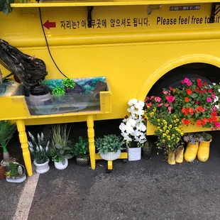 a yellow food truck with potted plants
