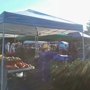 a variety of fruits and vegetables