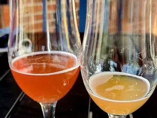 Branch & Bone Artisan Ales