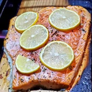 Arctic Char