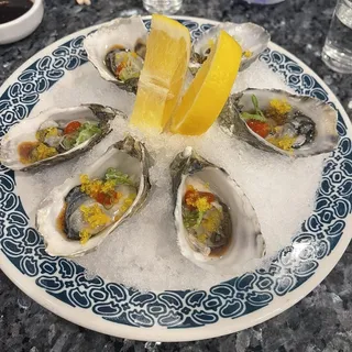 Fresh Oysters