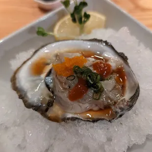 Japanese Oyster