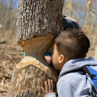 Mommy's little beavers.