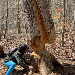 This one was a little nerve-racking.