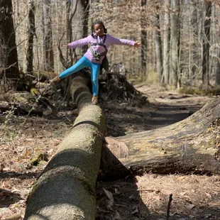 Balancing on a downed tree.