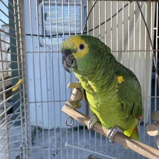 Birdy outside of the bait shop