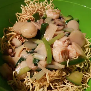 Combination Pan Fried Noodle