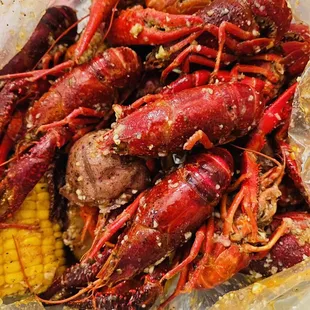 lobsters and corn on the cob