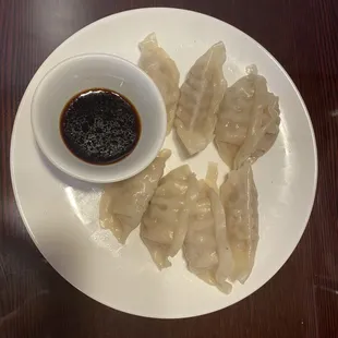 Pan Fried Pork Dumplings
