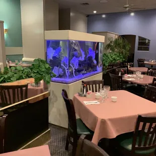 The fish tank