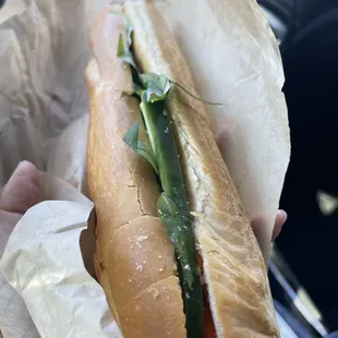 a person holding a hot dog
