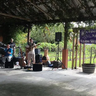 Grape Stomp Fest 2017 band under the pavilion