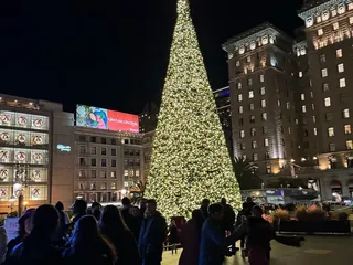 Holiday Ice Rink At Embarcadero Center