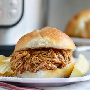 a pulled pork sandwich with potato chips