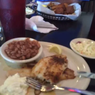 Grilled Catfish
