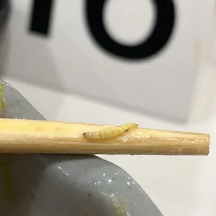 Maggot found in bowl