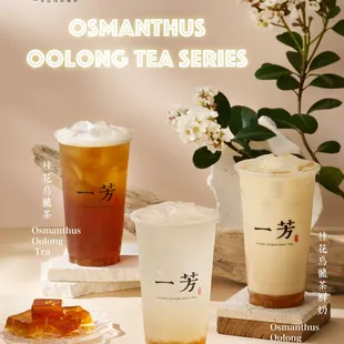 Osmanthus Oolong tea series