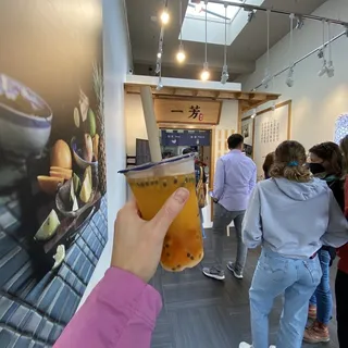 Passion Fruit Green Tea /