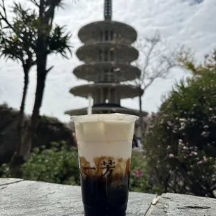 Brown Sugar Pearl Latte (NoTea)