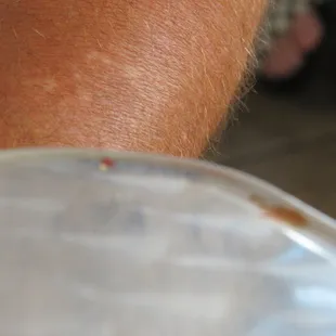 Food on the inner edge of the table. Un-appetizing