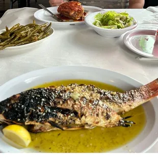 Moussaka, green beans, salad and Grilled Red Snapper.