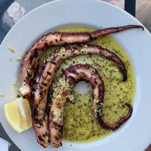 Octopus, Yiannis Seafood &amp; Greek Cuisine, Tarpon Springs