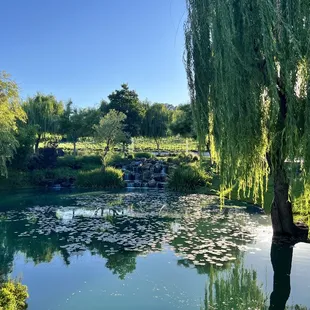 Yin Ranch pond