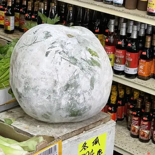 This tiny woman hauled out this Winter Melon, weighed more than her!