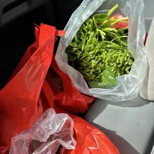 4 bunches spinach, ginger, peeled garlic, red bell peppers, scallions, zucchini, carrots, tofu.. more!