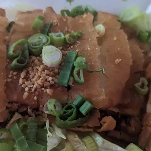 a close up of a plate of food