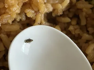 Family Garden Chinese Restaurant