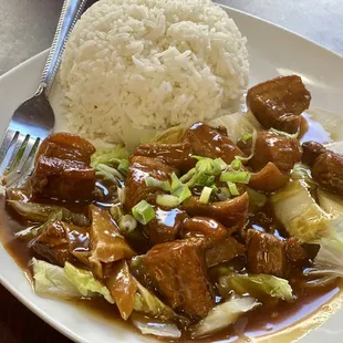 (Braised) pork belly over rice lunch special $9.50